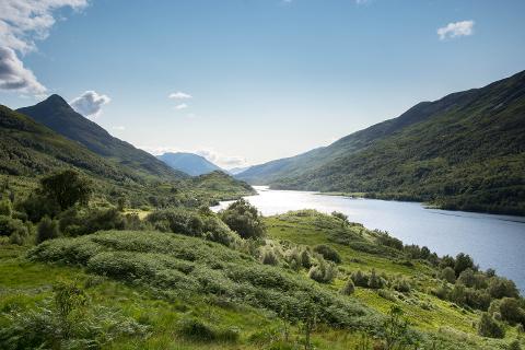 Glencoe